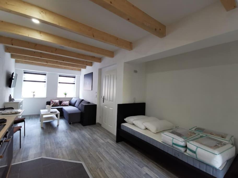 Altstadt-Apartment & Fewo Og Fuer Max 3 Pers Гальденслебен Екстер'єр фото