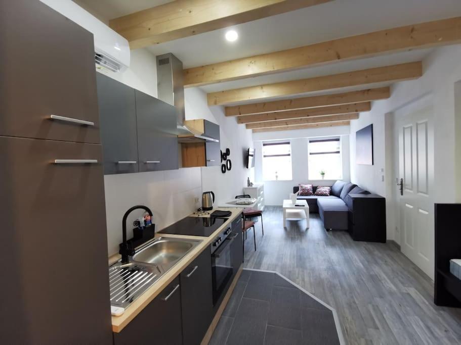 Altstadt-Apartment & Fewo Og Fuer Max 3 Pers Гальденслебен Екстер'єр фото